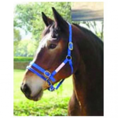 Monty Roberts Dually Halter Horse Training Halter with DVD